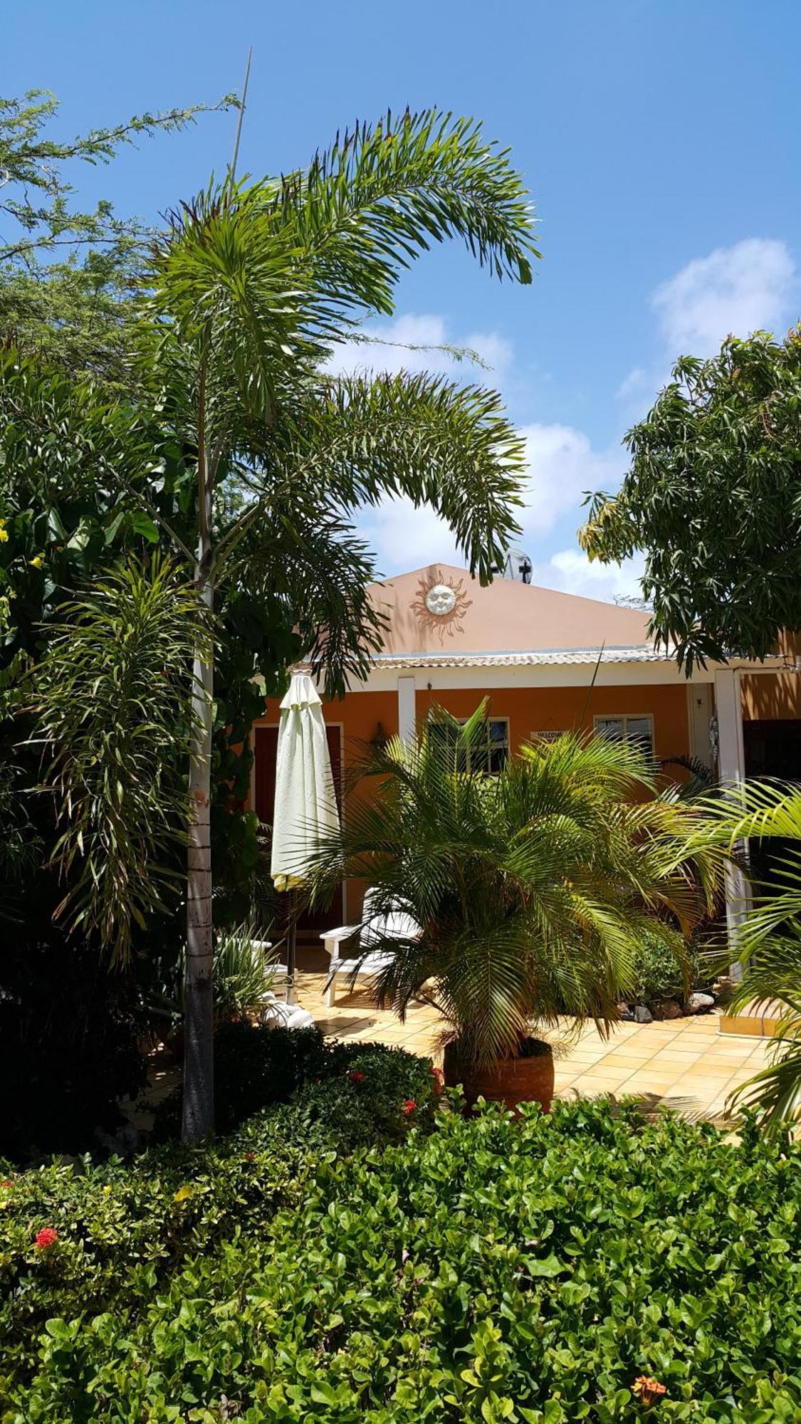 Brisas Studio Apartments (Adults Only) Palm Beach Rom bilde